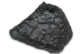 Dragon Scale Stone (Iron, Manganese, Siderite Nodule) #350190