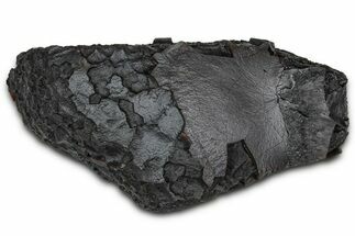 Dragon Scale Stone (Iron, Manganese, Siderite Nodule) #350200