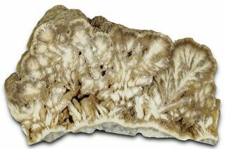 Polished Barite Slab - Lubin Mine, Poland #348888