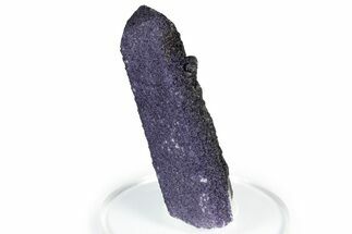 Purple Fluorite Encrusted Quartz Crystal - New Find! #350647