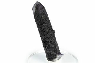 Purple Fluorite Encrusted Quartz Crystal - New Find! #350648