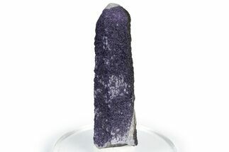 Purple Fluorite Encrusted Quartz Crystal - New Find! #350651