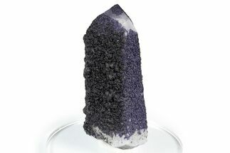 Purple Fluorite Encrusted Quartz Crystal - New Find! #350653