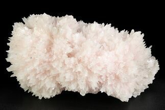 Pink Manganoan Calcite Crystal Cluster - Fluorescent! #350811