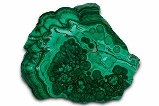 Flowery Polished Malachite Slab - DR Congo #350816