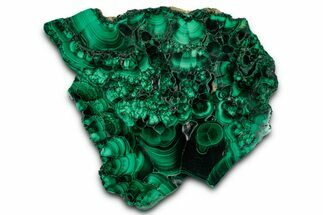 Flowery Polished Malachite Slab - DR Congo #350818