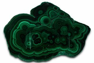 Flowery Polished Malachite Slab - DR Congo #350820