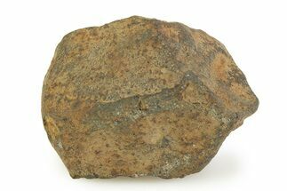 Gao-Guenie Meteorite ( g) - Witnessed Fall #350986