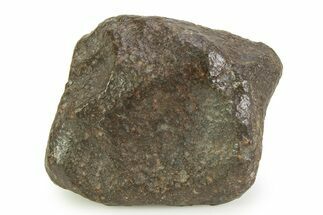 OC Chondrite Meteorite ( g) - NWA #350994