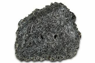 Fossil Glyptodont (Glyptotherium) Bony Armor Osteoderm - Florida #351060