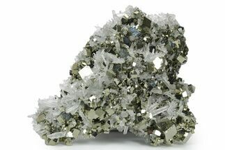 Gleaming Cubic Pyrite Crystals with Clear Quartz - Peru #351189