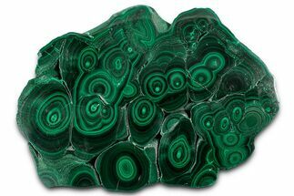 Flowery Polished Malachite Slab - DR Congo #350835