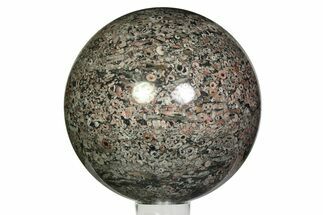 Colorful Fossil Crinoid Stems In Marble Sphere #351386