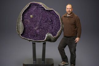 Dark Purple Amethyst Geode with Stand - Amazing Display #351511