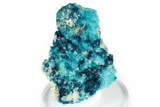 Sparkling Blue Veszelyite Cluster on Hemimorphite - Congo #351593