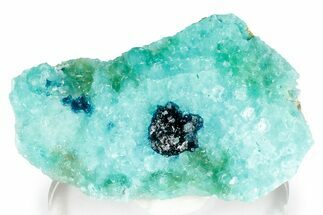 Vibrant Blue Veszelyite Cluster on Hemimorphite - Congo #351594