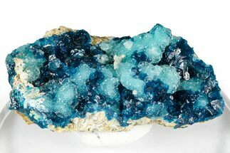 Sparkling Blue Veszelyite Cluster on Hemimorphite - Congo #351596