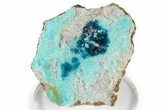 Vibrant Blue Veszelyite Cluster on Hemimorphite - Congo #351600