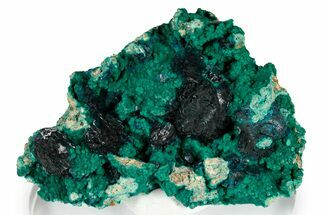 Sparkling Blue Veszelyite Cluster on Zincolibethenite - Congo #351601