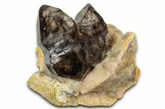 Smoky Quartz Crystal Cluster on Druzy Quartz - Australia #351787