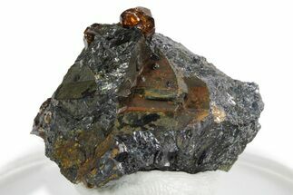 Fluorescent Zircon Crystals in Biotite Schist - Norway #351530