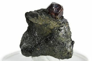 Fluorescent Zircon Crystal in Biotite Schist - Norway #351531