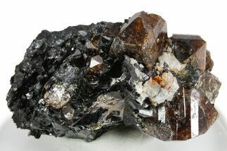 Fluorescent Zircon Crystals in Biotite Schist - Norway #351538