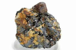 Fluorescent Zircon Crystal and Magnetite in Biotite Schist - Norway #351546