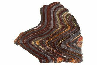 Polished Tiger Iron Stromatolite Slab - Billion Years #351872