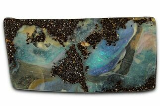 Colorful Polished Boulder Opal Specimen - Queensland, Australia #351842