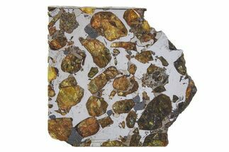 Brahin Pallasite Meteorite ( g) Slice - Belarus #351927