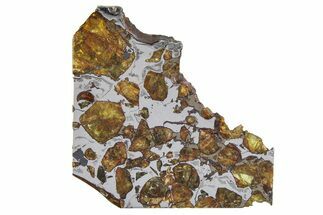 Brahin Pallasite Meteorite ( g) Slice - Belarus #351928