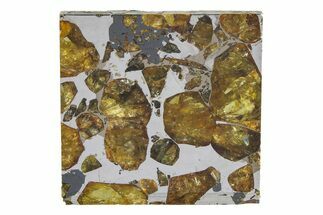 Brahin Pallasite Meteorite ( g) Slice - Belarus #351939