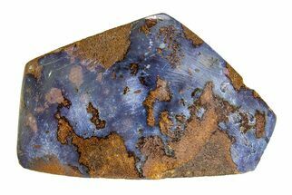 Polished Boulder Opal Specimen - Queensland, Australia #351921
