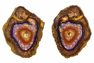 Stunning Yowah Nut Boulder Opal Pair - Australia #351925