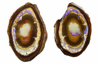 Stunning Yowah Nut Boulder Opal Pair - Australia #351926
