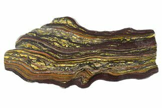 Polished Tiger Iron Stromatolite Slab - Billion Years #351885