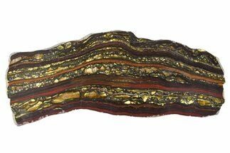Polished Tiger Iron Stromatolite Slab - Billion Years #351897