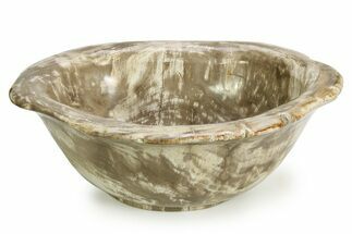 Petrified Wood (Tropical Hardwood) Bowl - Indonesia #351990