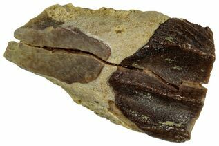 Recently Added For Sale