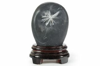 Polished Chrysanthemum Stone in Wood Base - China #352111