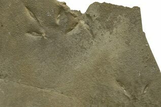 Recently Added For Sale