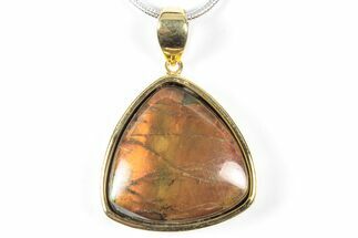 Brilliant Ammolite Pendant (Necklace) - Alberta, Canada #352205
