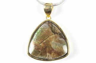 Brilliant Ammolite Pendant (Necklace) - Alberta, Canada #352208