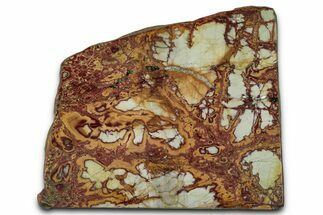 Polished Noreena Jasper Slab - Australia #352659