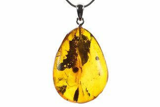 Polished Baltic Amber Pendant (Necklace) - Contains Flies! #352970