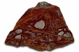 Polished Noreena Jasper Section - Australia #353266