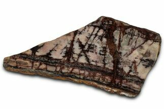 Polished Outback Jasper Slab - Western Australia #353270
