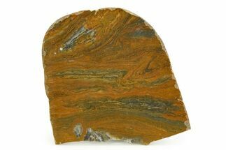 Polished Mesoproterozoic Stromatolite (Conophyton) - Australia #353322