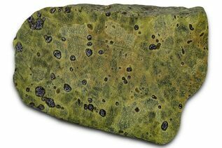 Buy Serpentine